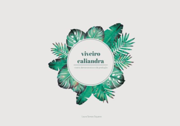 Capa caderno Laura viveiro caliandra